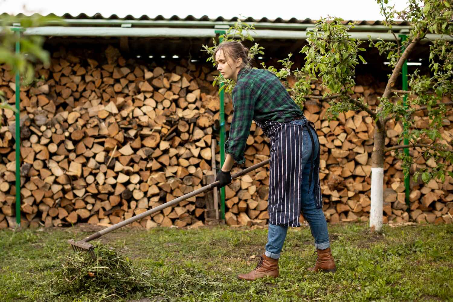 Residential & Commercial Tree Services